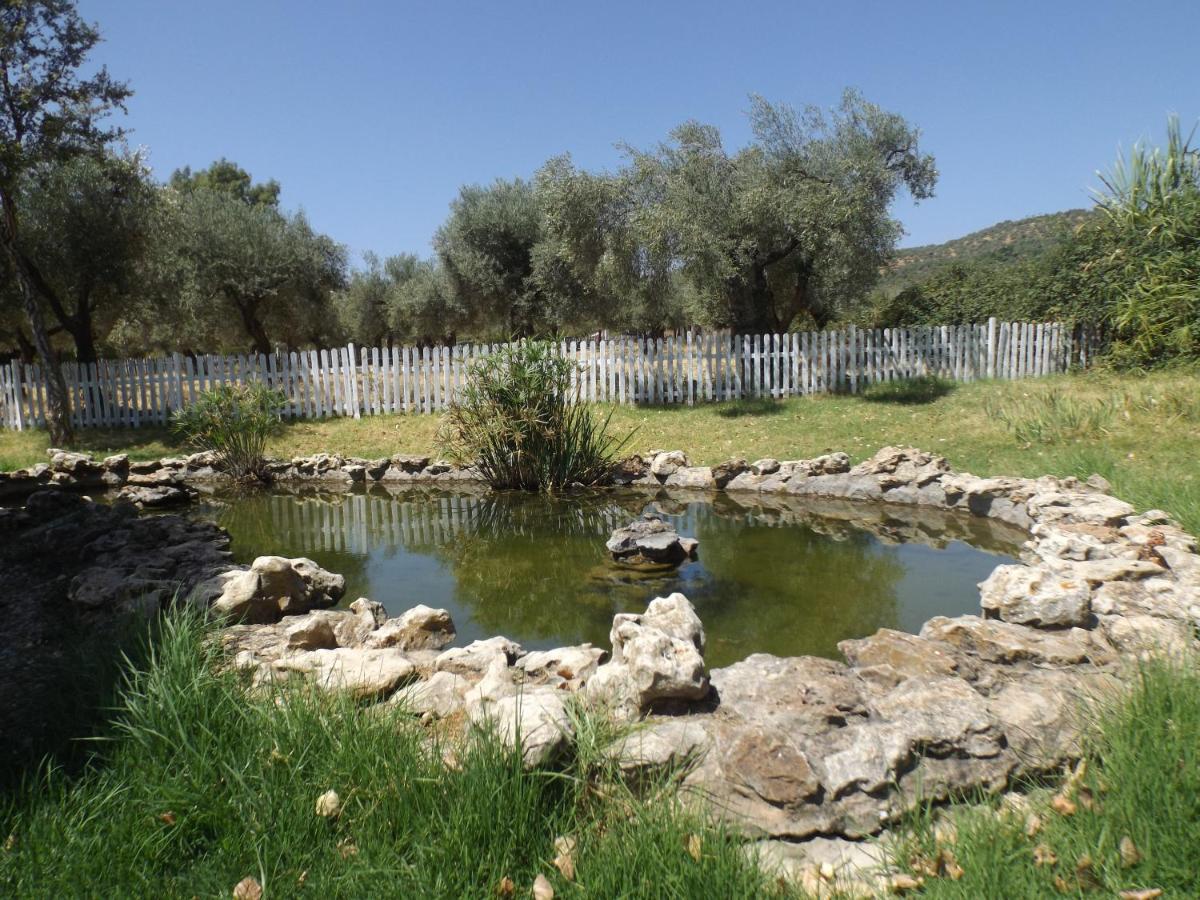 El Venero De Mostoles Constantina Luaran gambar